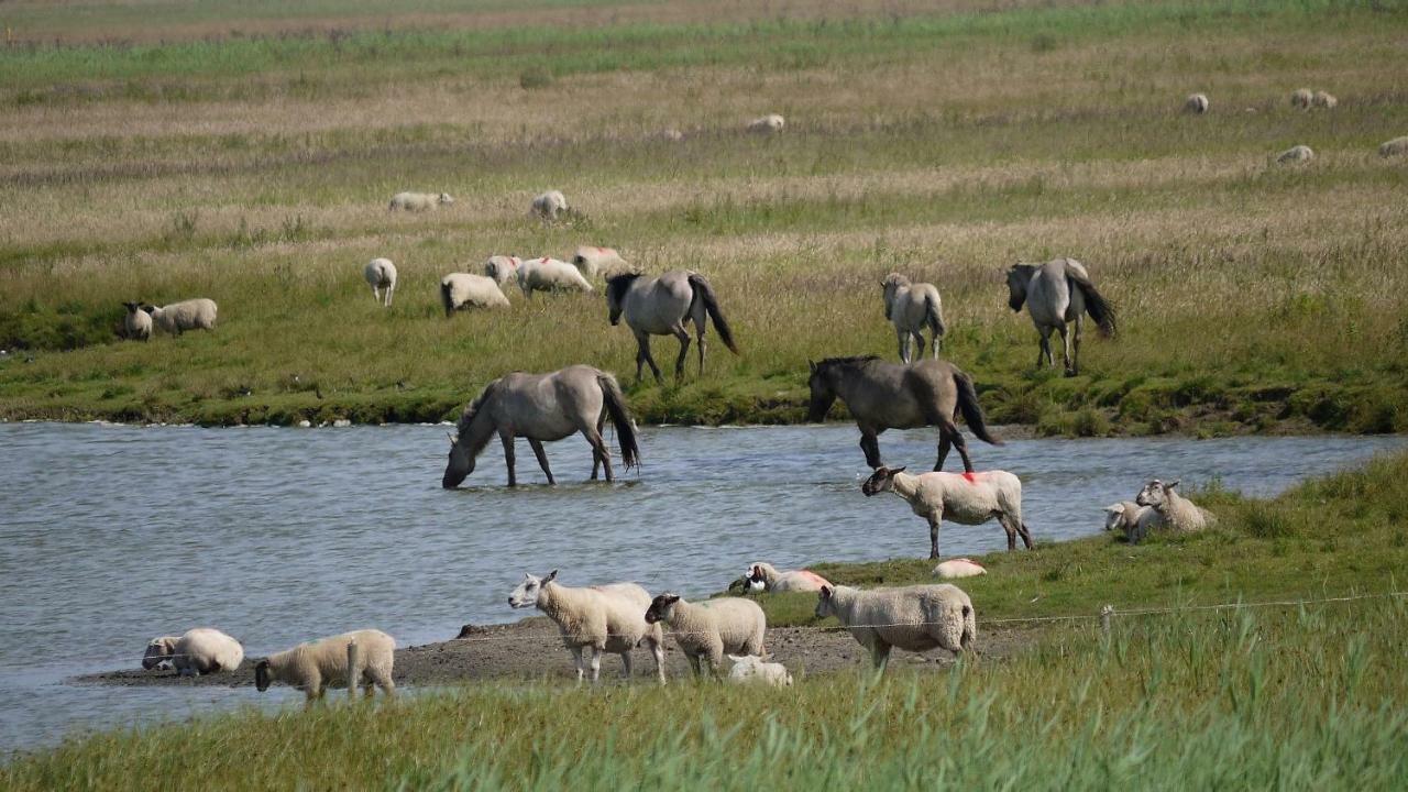 Wattenblick Büsum Eksteriør bilde